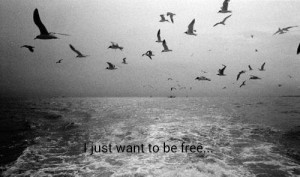 i_want_to_be_free-393554